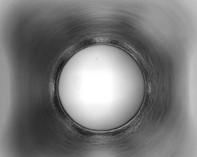 X0000096680733200802051029