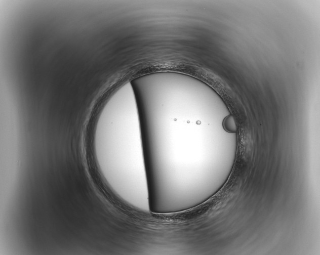 X0000096680734200802051029