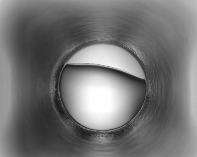 X0000096680736200802051029