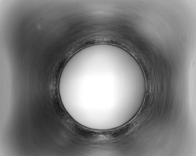 X0000096680737200802051029