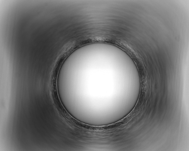 X0000096680738200802051029