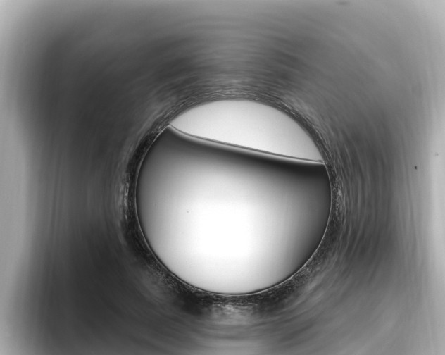 X0000096680739200802051029