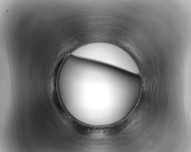 X0000096680740200802051029