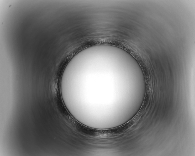 X0000096680746200802051029