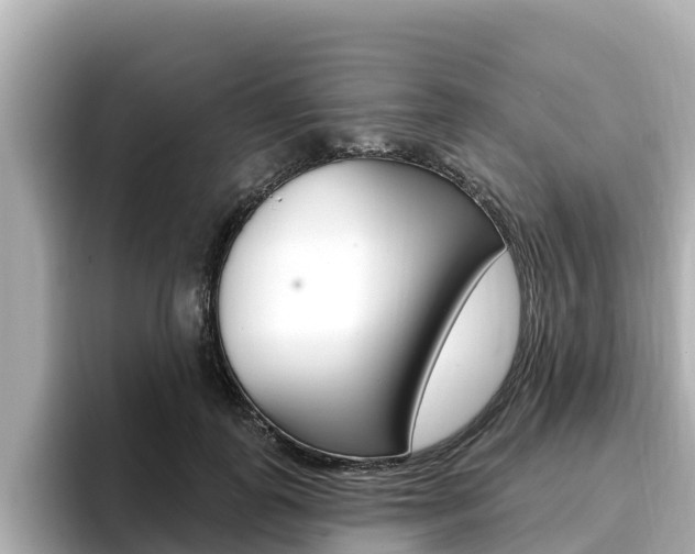 X0000096680747200802051029