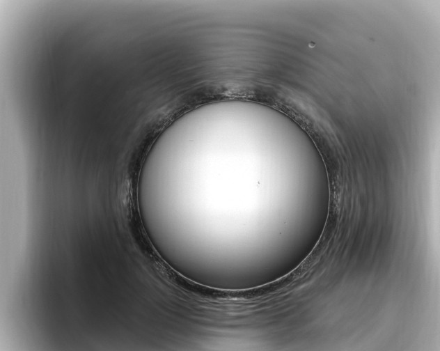 X0000096680748200802051029