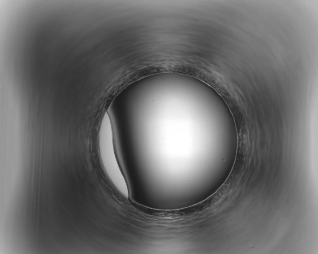 X0000096680750200802051029