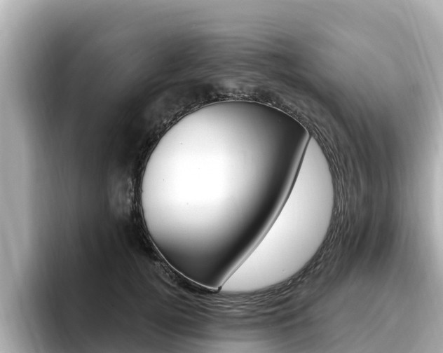 X0000096680752200802051029