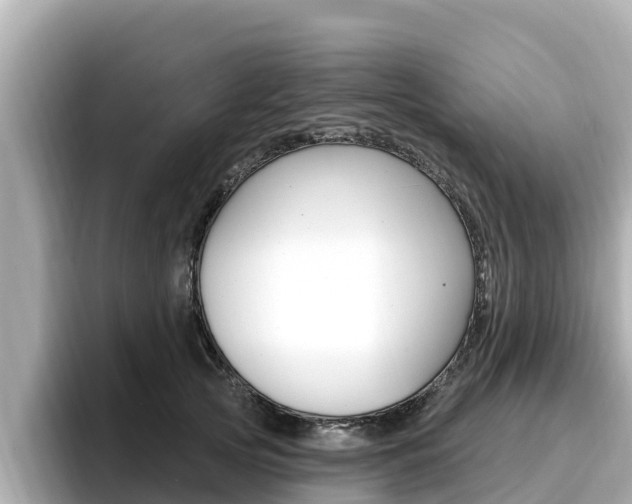 X0000096680753200802051029