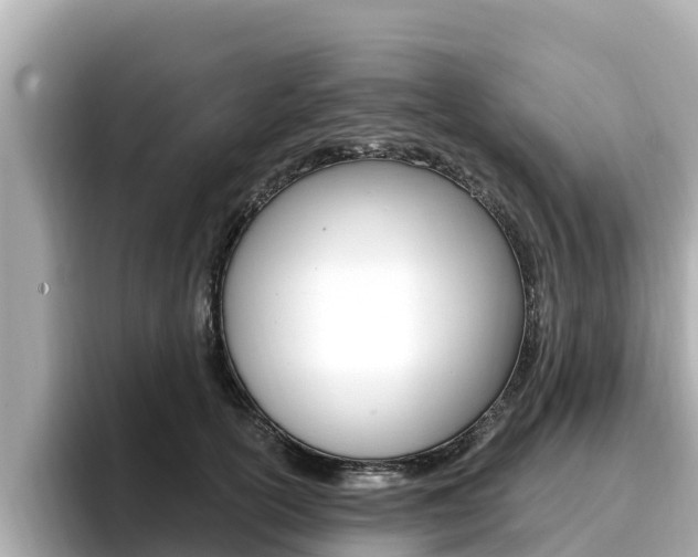 X0000096680754200802051029