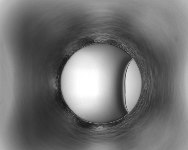 X0000096680755200802051029