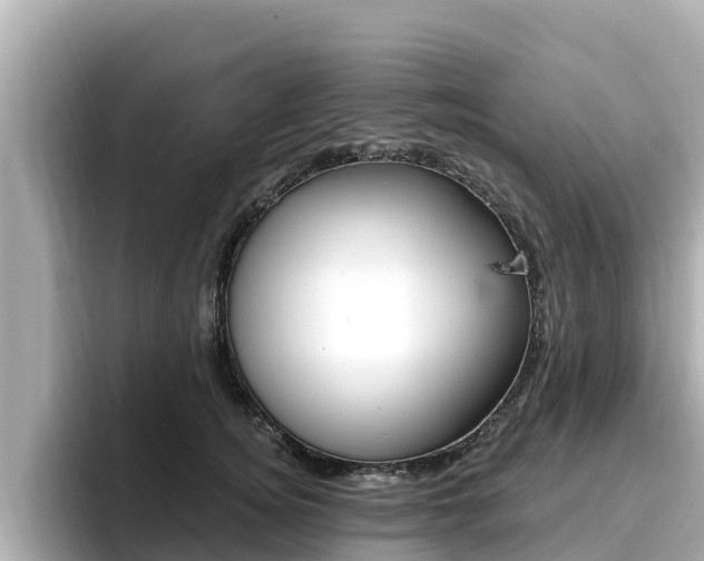 X0000096680756200802051029