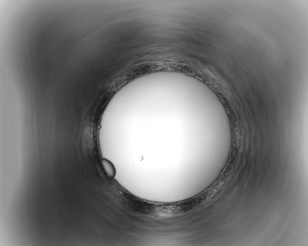 X0000096680757200802051029