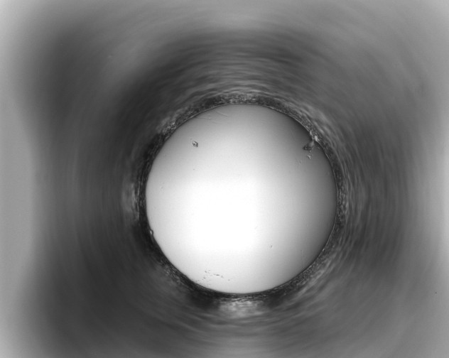X0000096680759200802051029