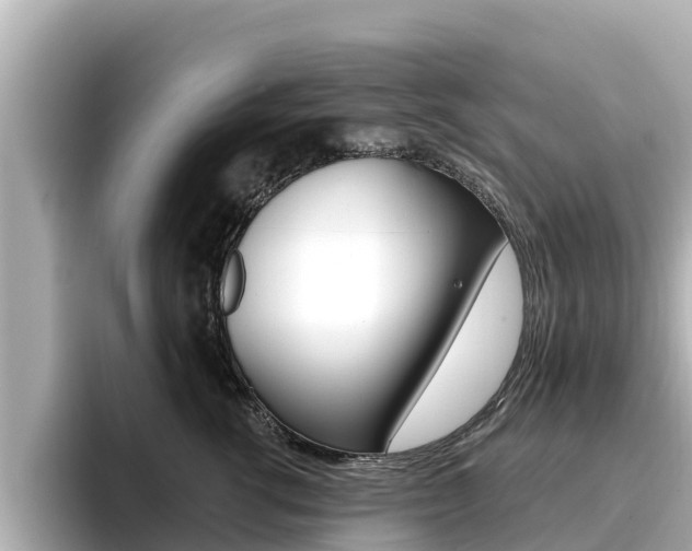 X0000096680762200802051030