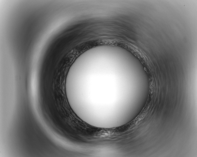 X0000096680764200802051030