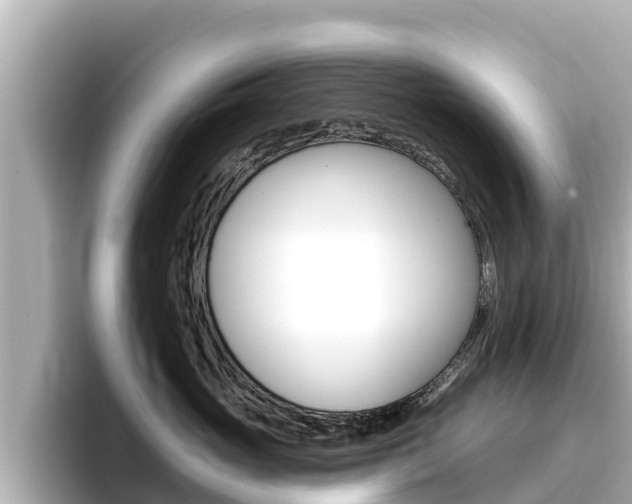 X0000096680765200802051030