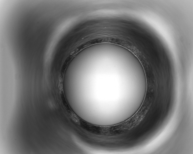 X0000096680766200802051030