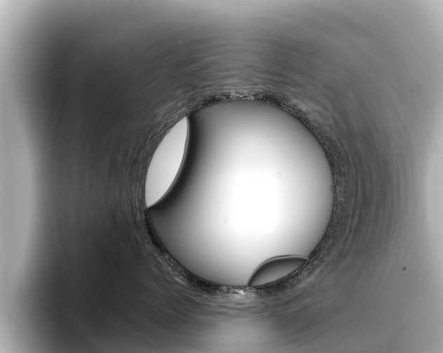 X0000096680768200802051030