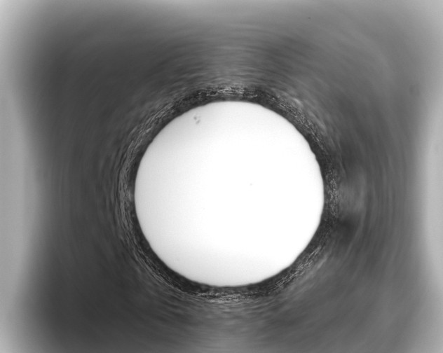 X0000096680769200802051029