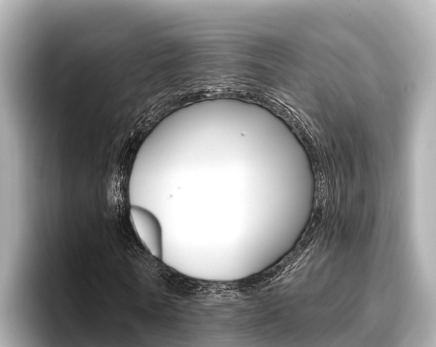X0000096680770200802051029