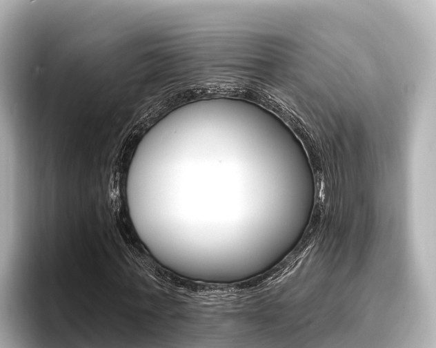 X0000096680771200802051029