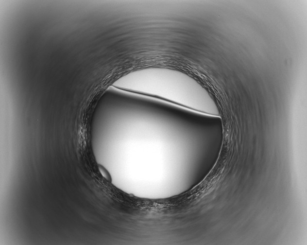 X0000096680772200802051029