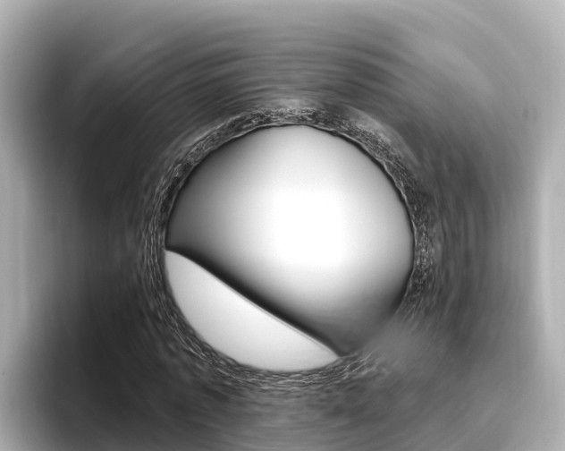 X0000096680773200802051029
