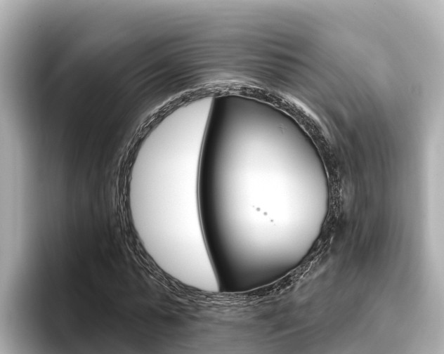 X0000096680775200802051029