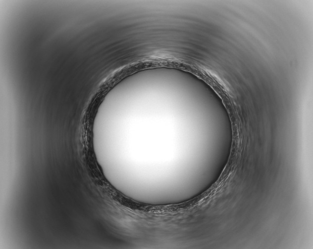 X0000096680776200802051029