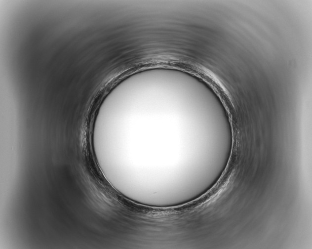 X0000096680778200802051029