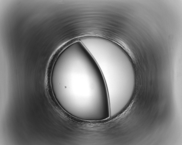 X0000096680780200802051029