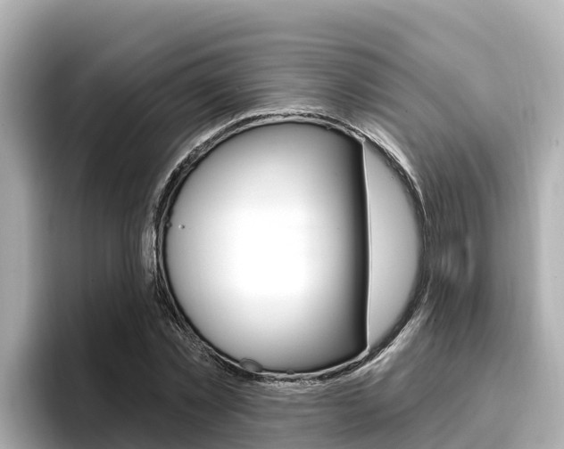 X0000096680781200802051029