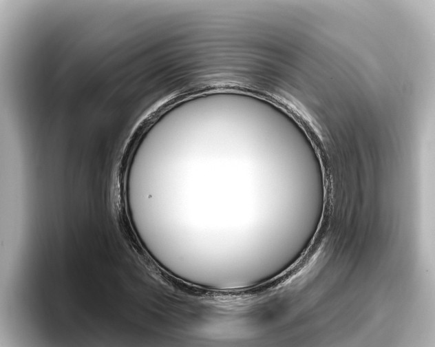 X0000096680782200802051029