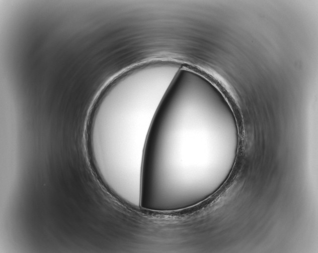 X0000096680783200802051029