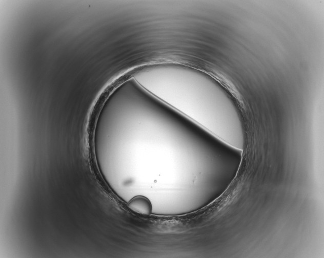 X0000096680784200802051029