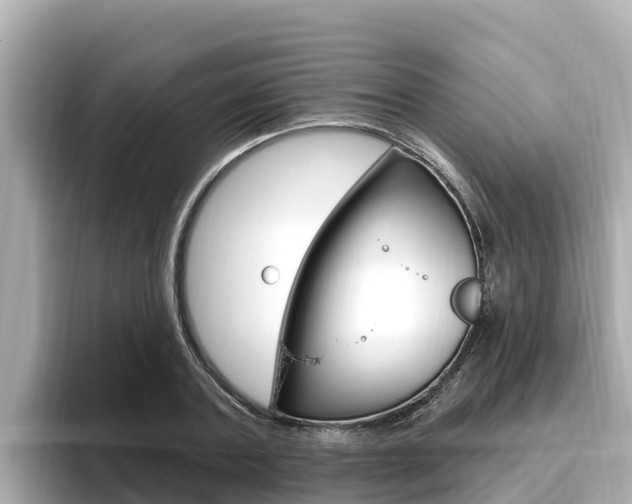 X0000096680787200802051029