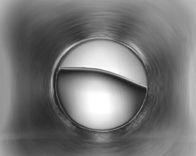X0000096680788200802051029