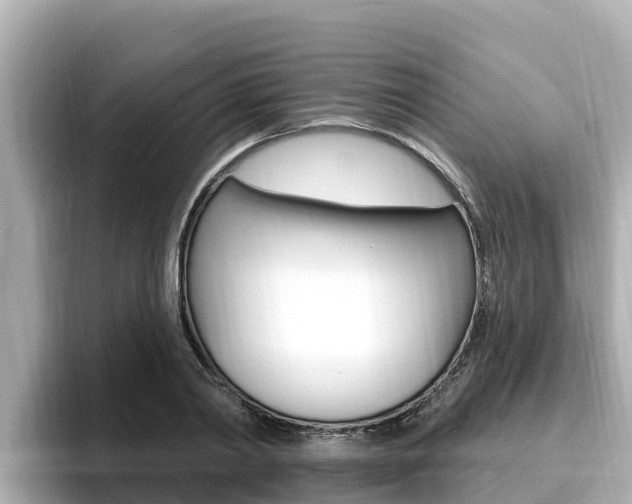 X0000096680790200802051029