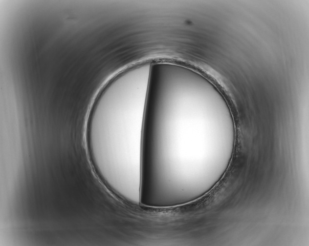 X0000096680791200802051029