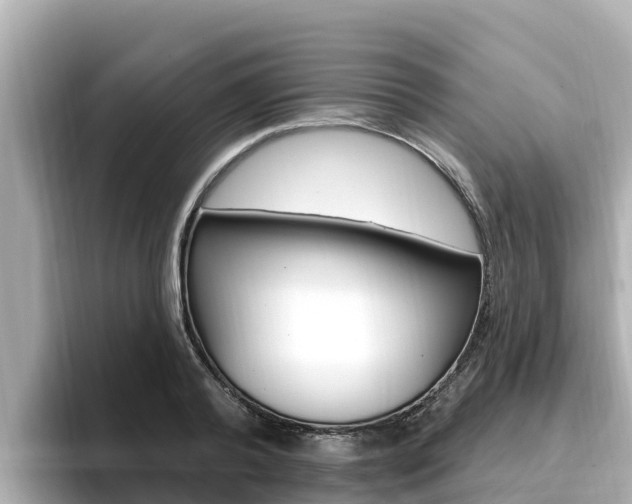 X0000096680792200802051029