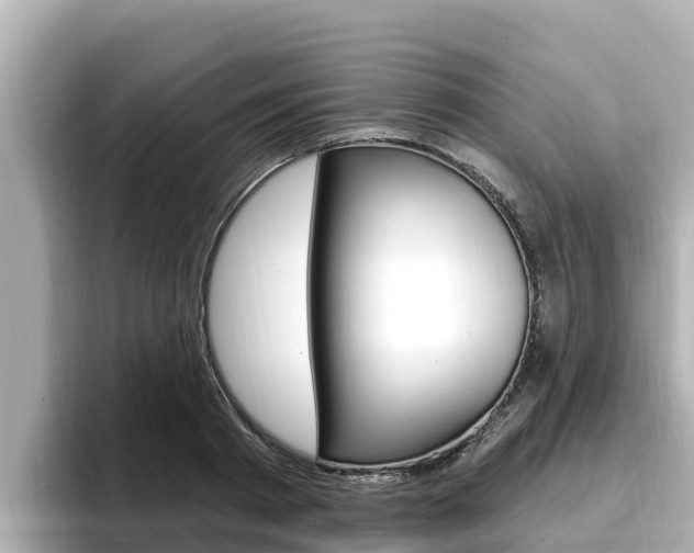 X0000096680793200802051029