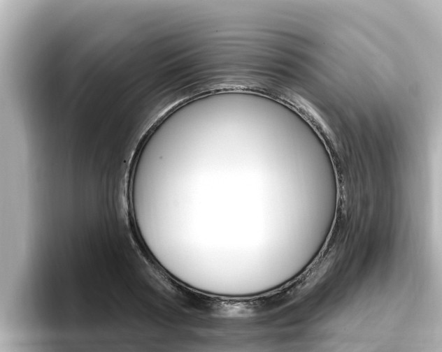 X0000096680794200802051029