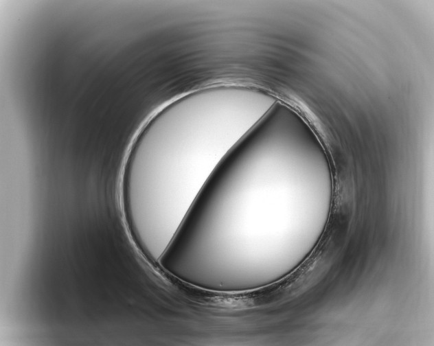 X0000096680795200802051029
