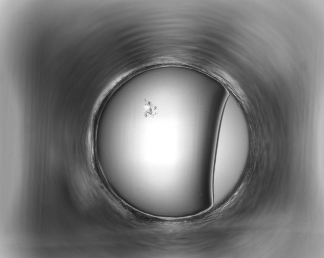X0000096680796200802051029