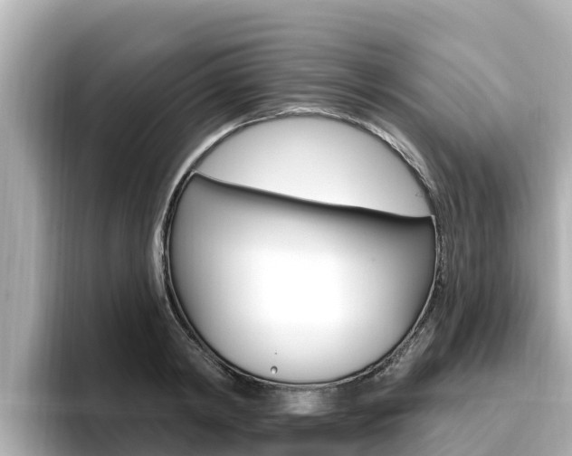 X0000096680798200802051029