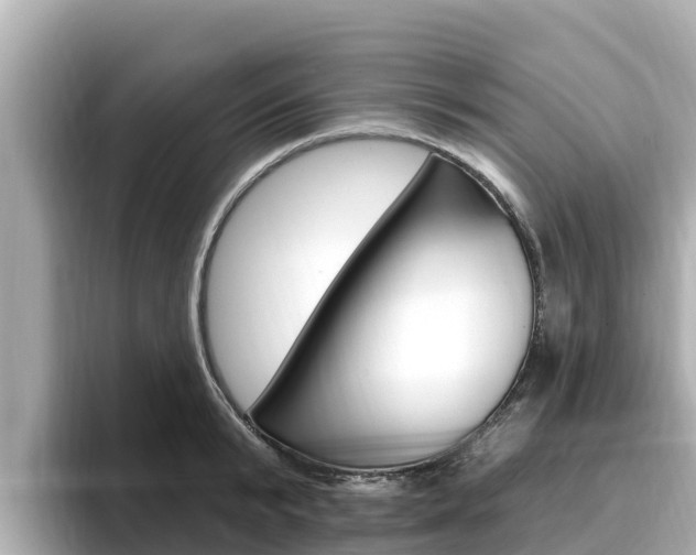 X0000096680799200802051029