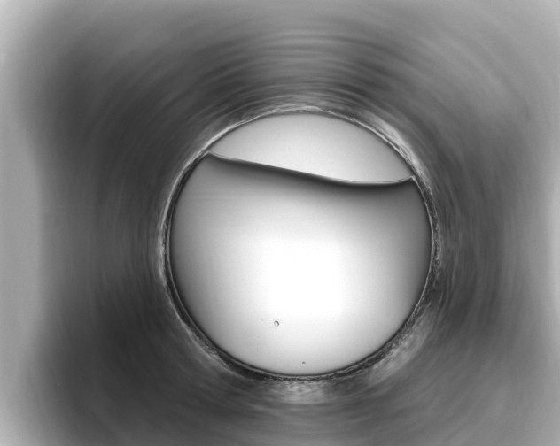 X0000096680802200802051029