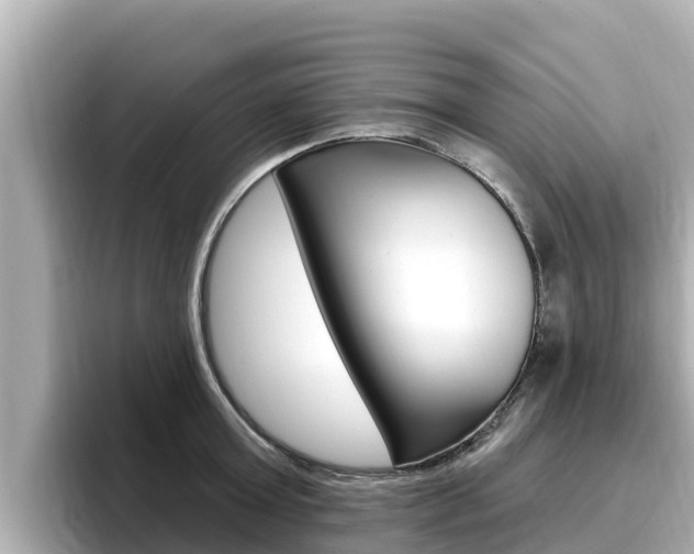 X0000096680803200802051029