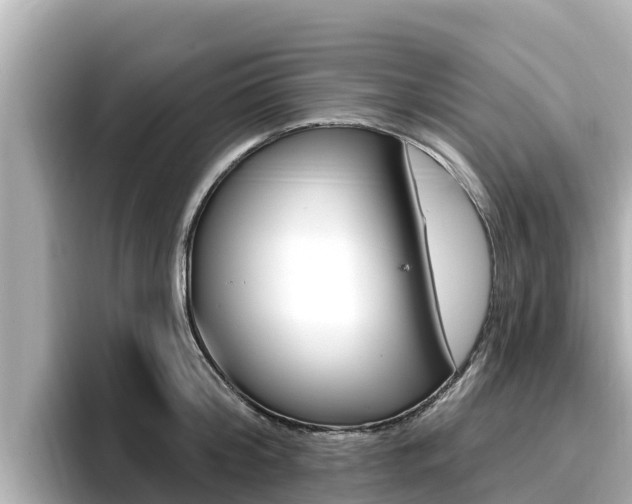 X0000096680804200802051029